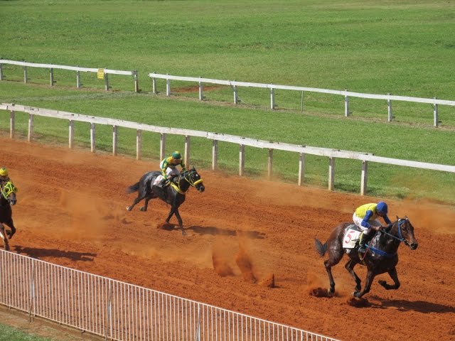 Jockey Clubs nos Estados Americanos: Uma Viagem Pelo Mundo das Corridas de  Cavalos 