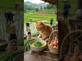 Green Life in Villages #funnycatvideos #kucingkampung #catfoods #catchef