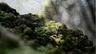 Nikon D3100 Dslr Sample Photos 1080P Hd By Matt Hanson