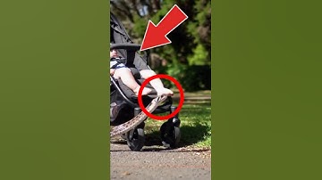 Kat redt baby van slang in park