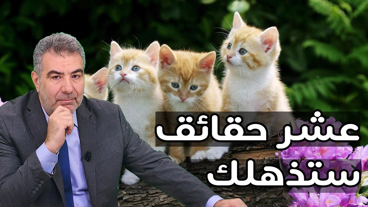 10 حقائق عن القطط ستسمعها لأول مرة.. ماهو سر صوت شخيرها؟