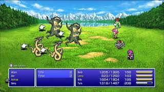 Final Fantasy V Pixel Remaster - Animals Exhibition
