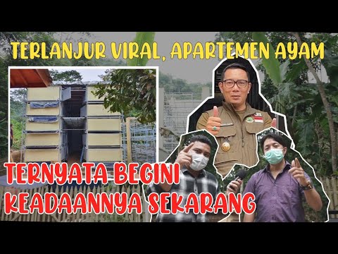 INVESTIGASI LOKASI APARTEMEN AYAM RIDWAN KAMIL