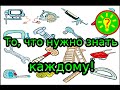 То что нужно знать каждому!