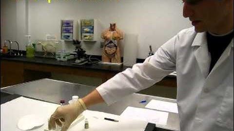 ASU Enzyme Lab video