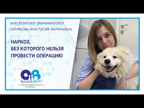 Видео: OC Raw Dog напоминает о продуктах для листерии и ботулизма