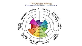 3 Levels of Autism vs The Autism Wheel 1
