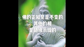 201607 佛的正知见是不变的 其他的相是随缘示现的25365