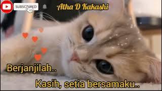 Status wa Kucing Sedih | sad story #shorts