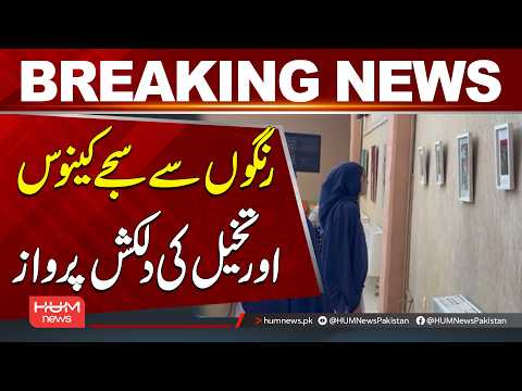 A Canvas of Colors and a Flight of Imagination | Breaking News | Hum News | Pakistan