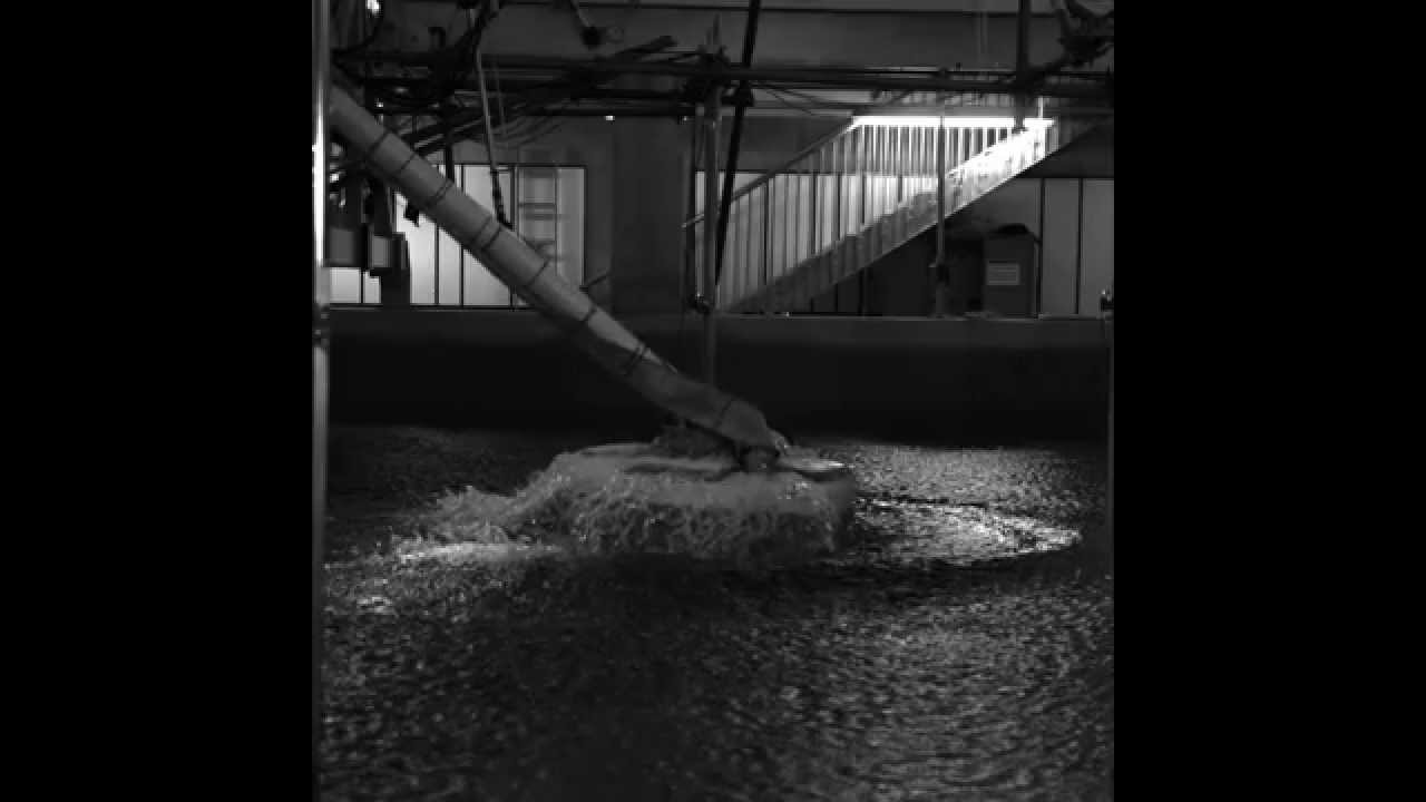 Survivability of a Wave Energy Converter: Drop Test