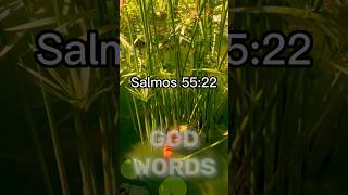 Salmos 55:22 Echa sobre Jehová tu carga, y él te sustentará; #versiculo