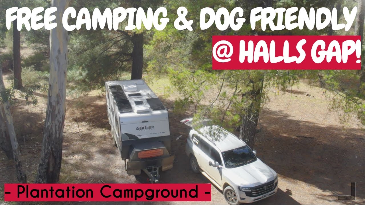 Grampians Trail Camp Three Halls Gap Dog Friendly Free Camping