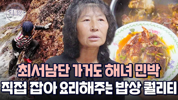 "배 타고 더 들어가야 된다고요?" 최서남단 가거도의 억척 해녀, 민박집 요리 퀄리티가 셰프 급｜다시보는 특종세상 486회