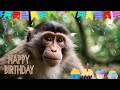 🙉🎉 Monkey Happy Birthday Song