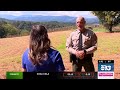 Bear-feeding rule in Buncombe County could bring criminal penalties