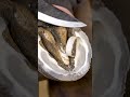 Extreme Hoof Cutting &amp; Trimming | Oddly Satisfying ASMR