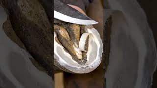 Extreme Hoof Cutting & Trimming | Oddly Satisfying ASMR