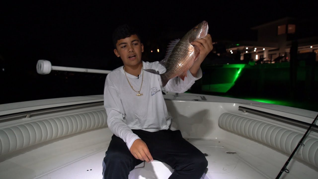 Dock light fishing for snapper!