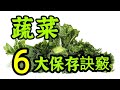 蔬菜保存的6大訣竅！不同的蔬菜有不同的注意