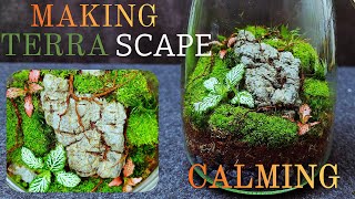 How To Make A Terrarium - ULTIMATE Beginners Guide : An In-Depth Tutorial