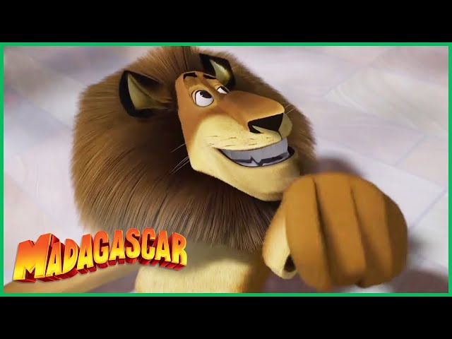 DreamWorks Madagascar em Português, Momentos engraçados de Gloria