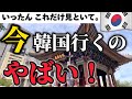 【韓国旅行🇰🇷】今、韓国に行ったらダメな理由4つを話します。