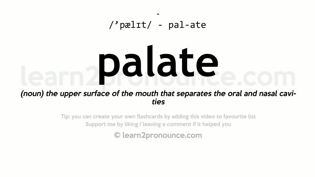 Palate pronunciation and definition YouTube