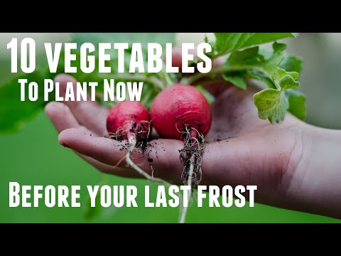 10 Crops You Can Direct Sow Before Your Last Frost | Vegetable Gardening Tips | Garden Planning