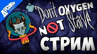 Don't Starve в Oxygen Not Included [СТРИМ]