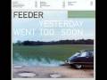 Feeder - Picture of perfect youth