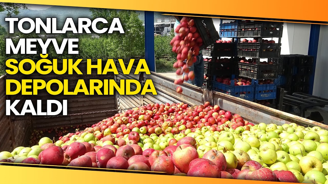 Bursa'da Tonlarca Meyve Soğuk Hava Depolarında Kaldı