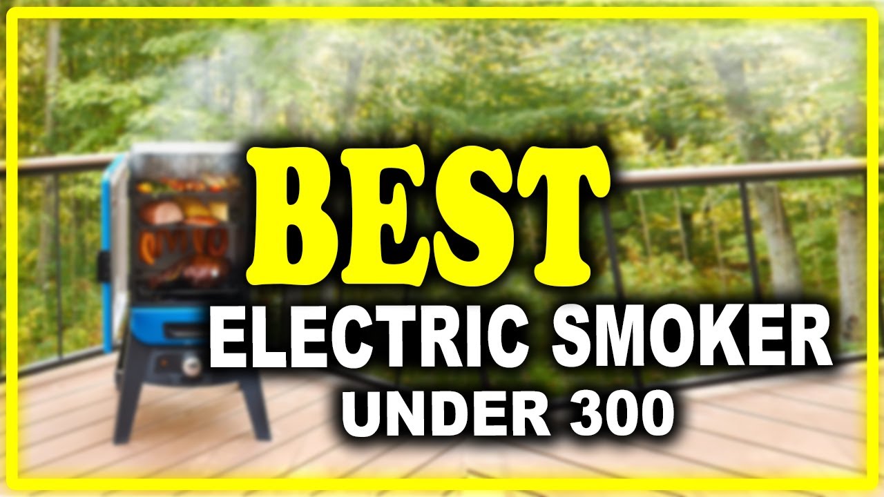 Best Electric Smoker Under 300 That Are Worth Your Money Best