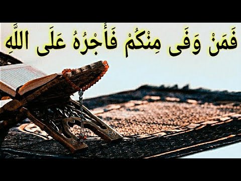 18 باب قول النبي صلى الله عليه وسلم بايعوني على أن لا تشركوا بالله شيئا