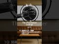 【1Q切り抜き】NBAポッドキャスト エピソード4🎙️🎧ただいまThe Playmaker チャンネルにて全編公開中‼️ #ニコラス武 #佐々木クリス #副島淳 #シェリーシャーマ #nba