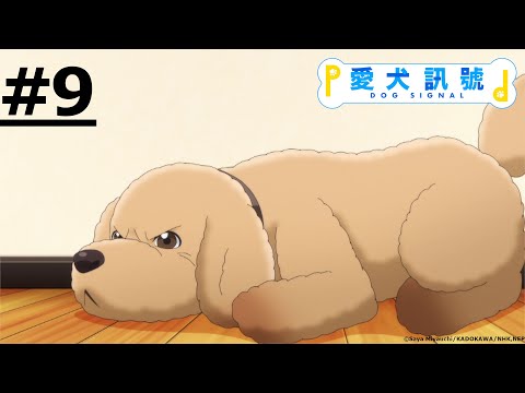 《愛犬訊號》#9 (繁中字幕 | 日語原聲)【Ani-One Asia】