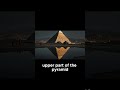 5 MIND-BLOWING Facts About the Ancient Egyptian Crane You Never Knew