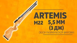 Пневматическая винтовка Artemis M22