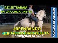 ASÍ SE ARRENDAN LOS CABALLOS EN LA CUADRA REYES//CABALLOS BAILADORES DE CULIACÁN//