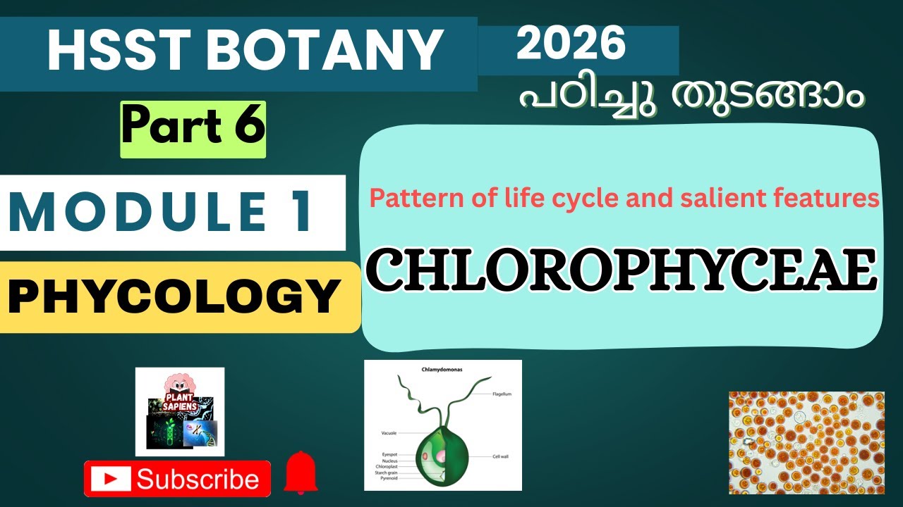 Chlorophyceae : salient features and patterns of life cycle|HSST Botany module 1 |#plantsapiens