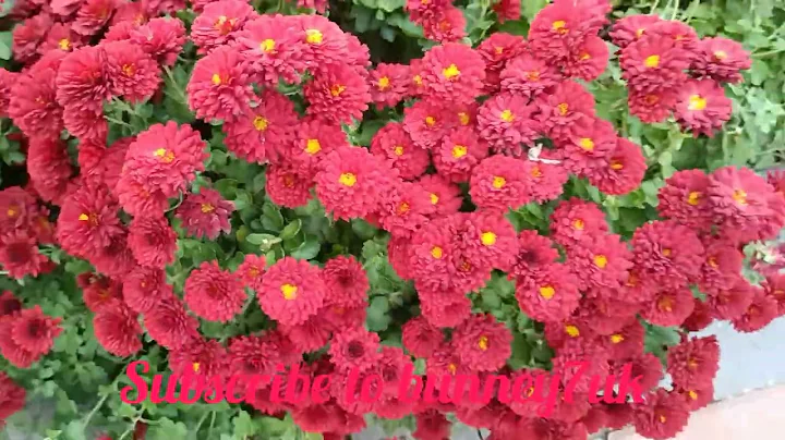 come with me on my evening walking in Luton UK