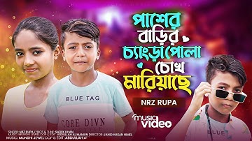 পাশের বাড়ির চ্যাংড়া পোলা চোখ মাড়িয়াছে | Paser Barir Chengra Pola | Nrz Rupa |Tik Tok viral song