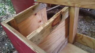 how to build an affordable chicken coop 1