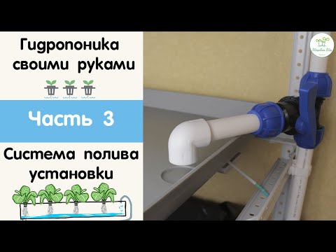 Видео: Когда поливать гидропонику?