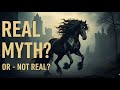 Why Frisian Horses Look Like a Myth
