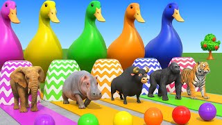 Long Slide Game With Tiger, Lion, Gorilla, Bear, Rhino – Funny 3D Animal Game | Animal Pop 3D screenshot 4