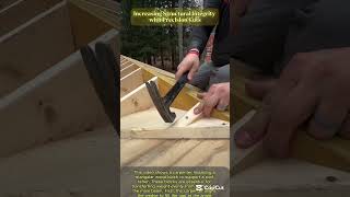 Mastering the Art of Roof Framing Support