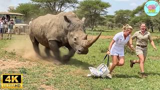 62 Ataques de Animales Más Brutales Captados en Video | Animales Salvajes Invadiendo Hogares