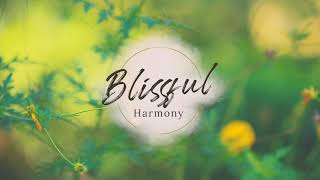 Soft Touch - Soothing Music From Blissful Harmony