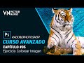 05 CURSO AVANZADO de Photoshop CC 🔥GRATIS🔥 Ejercicio Colorear Imagen | Victor Navas 2020